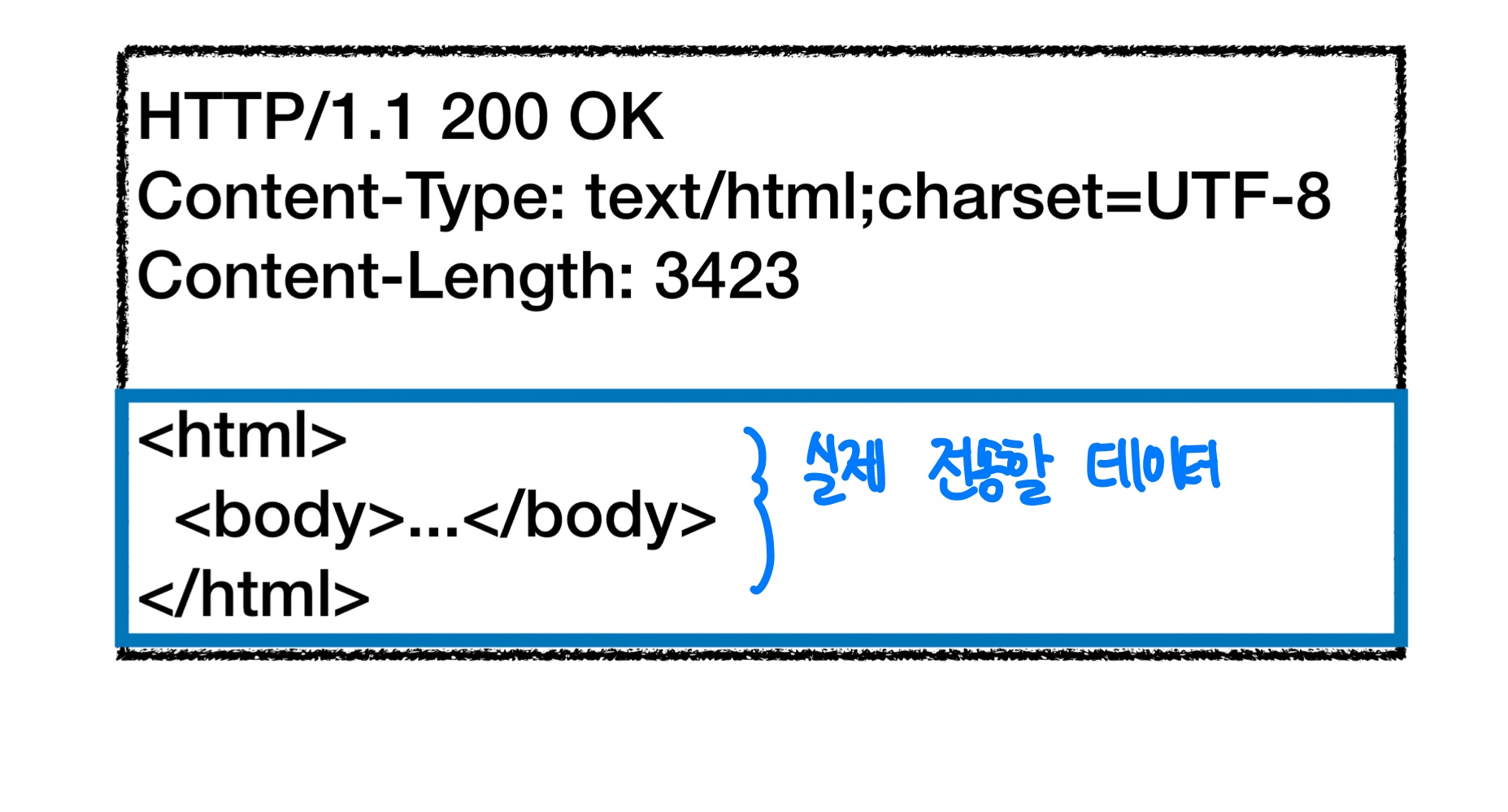 HTTP 메세지 바디